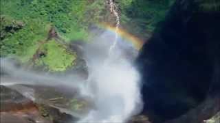 Four elements of life