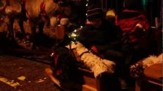 preview picture of video 'Rain Deer- Oban Winter Festival'