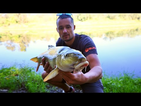 Pecanje krupne Savske Mrene na Špek Filek