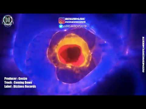 Breakbeat 2020 // Gosize - Coming Down (Original Mix) [Uk Garage]
