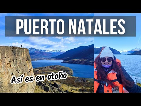 Qué hacer y dónde comer en PUERTO NATALES 2024 | Navegación Glaciar Grey y trekking cerro Benítez