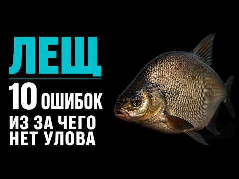 ЛЕЩ почему не клюет ? 10 ошибок, из-за которых ты останешься без рыбы