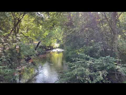 Ontological Politics (response to Abigail Thorn/Philosophy Tube)