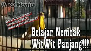 Download lagu Belajar Nembak WitWit Materi mudah di ingat!!! mp3