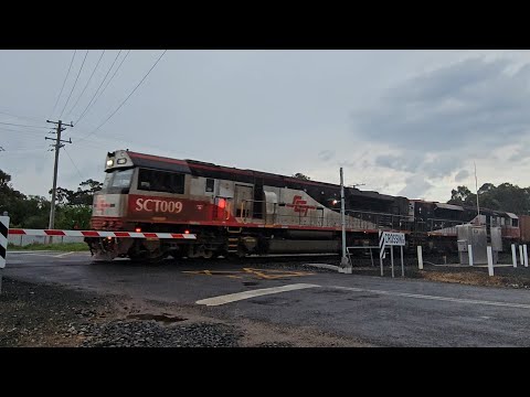 1PM9 SCT "Grey Ghost" (SCT009, SCT013), Forrestfield to Laverton, 1925, 17/10/24, Ararat West VIC