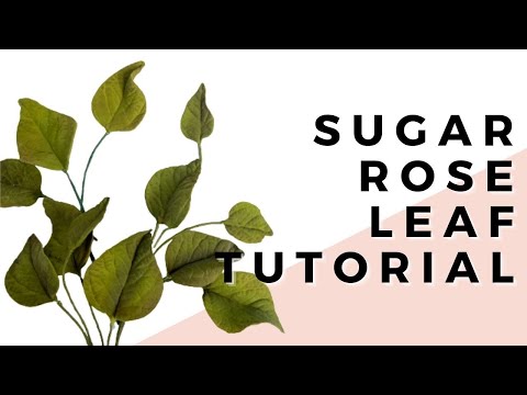 , title : 'Sugar Rose Leaf // Realistic Sugar Flowers with Finespun Cakes'