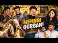 Mehngi Qurbani Taffu ComedykaHungamataffu