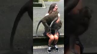 Download lagu Bokep Live #shorts #tiktok #viral #tranding #anaksma mp3