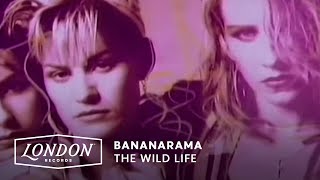 Bananarama - The Wild Life (Official Video)