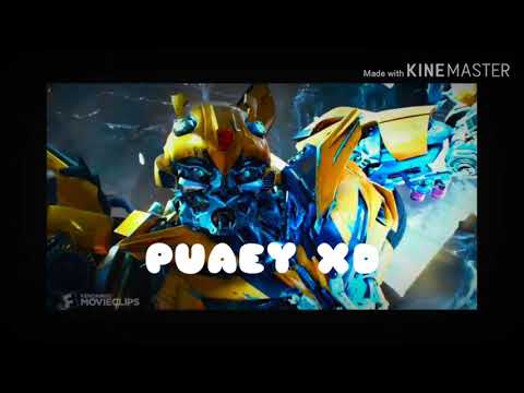 Coffin dance​-bumblebee​ freez picture