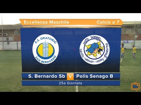 Sintesi S. Bernardo Sb - Polis Senago B