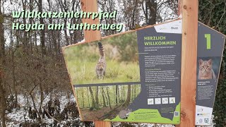 Wildkatzenlehrpfad Heyda am Lutherweg