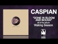 Caspian "Gone In Bloom And Bough" 
