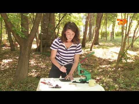 Ne Shtepine Tone, 12 Shtator 2016, Pjesa 5 - Top Channel Albania - Entertainment Show