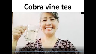 How to prepare Cobra Vine Tea ?