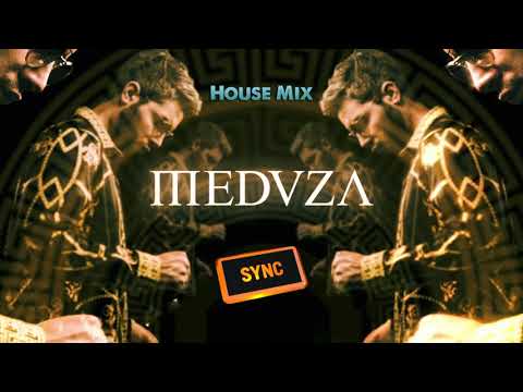 MEDUZA Mix 2021 |  House Music Mix 2021