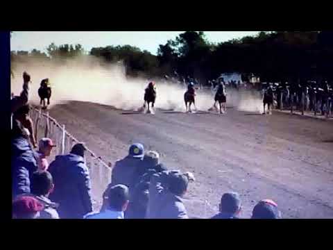 Carrera pista El gauchito, ganador "Don Chelo"