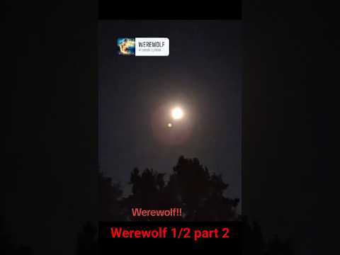 Werewolf 1/2 part 2.mrvproduction