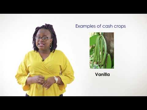Cash crops