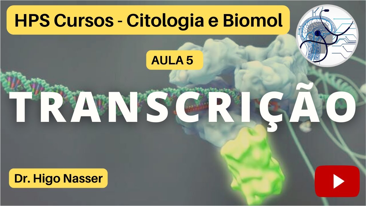 AULA 5 - Transcrição #medicina #morfologia #celular #biologiamolecular #enem #transcriptomas #genes