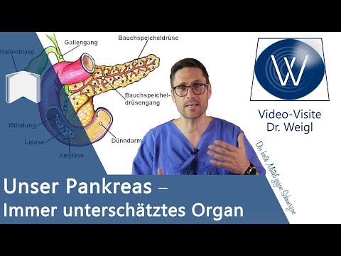 Unser Pankreas: Total unterschätzt ⏩ Anatomie, Funktion & Erkrankungen unserer Bauchspeicheldrüse