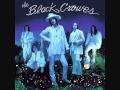 The Black Crowes - Horsehead
