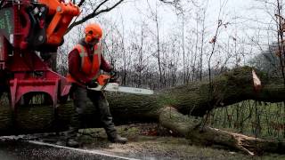 preview picture of video 'Ruim 400 bomen gekapt voor Centrale As'