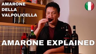 Download lagu Big RED WINE | Amarone Explained mp3 Download lagu Big RED WINE | Amarone Explained mp3
