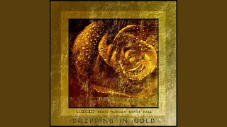 Dripping in Gold (feat. Morgan Renée Hall)