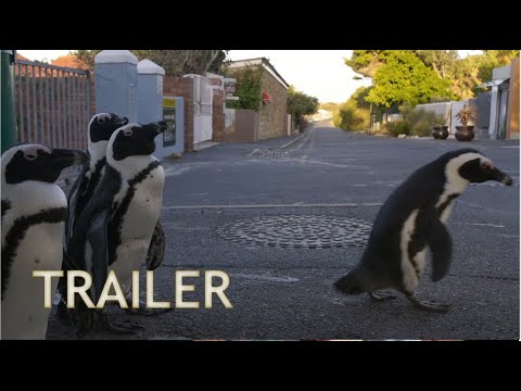 The Year Earth Changed Official Trailer (2021) | Apple TV+ Documentary