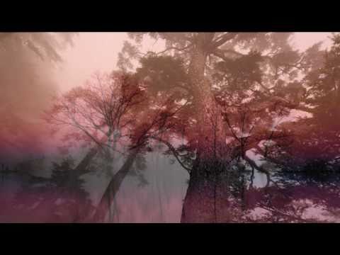 ✿⊱╮♥Someone's Waiting For You - Sammy Fain✿⊱╮♥