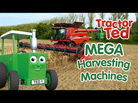 MEGA Harvesting Machines 🚜🌾 Big Machines Compilation | Tractor Ted Clips & Songs