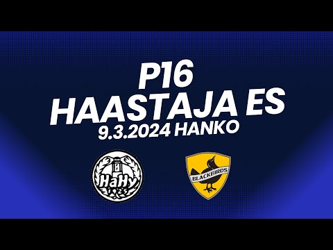 9.3.2024 Hahy - Blackbirds valkoinen, Hanko