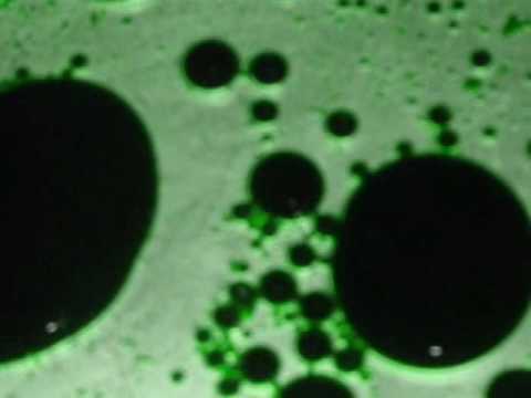 sven vath & anthony rother - ghost pt 1