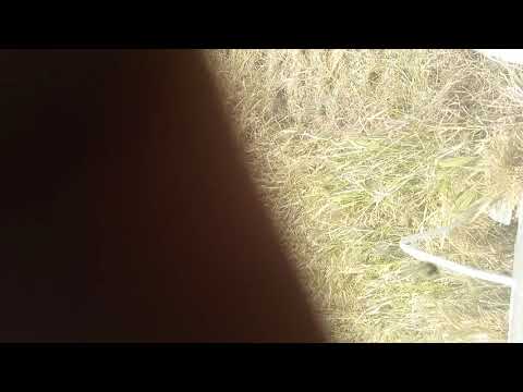 Harvester Kubota ER 112  CK Road Sell For Contect -8597830145