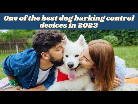 dog barking control devices | dog training device | the little sonic handheld egg dog bark control