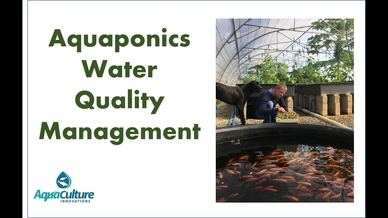 Aquaponics Water Quality Management