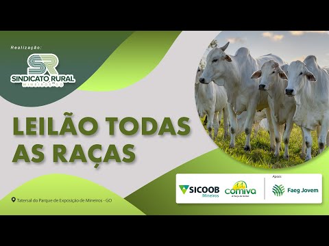 LEILÃO TODAS AS RAÇAS - MINEIROS-GO | 15/04/2024