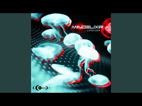 Hunnid Dolla Bill on Fire