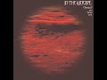 In The Woods... |  Omnio? - Pre, Bardo, & Post (Vinyl Mix)
