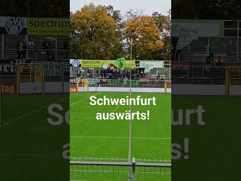 Unterfrankenderby! Viktoria Aschaffenburg - 1. FC Schweinfurt 1905 (28.10.23)