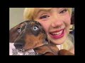 Cookie NewJeans Cover By Jannine Weigel พลอยชมพู