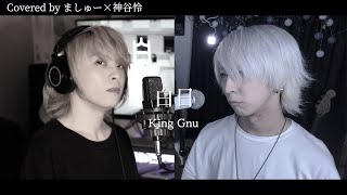 【ましゅー×神谷玲】白日 / King Gnuを歌ってみた - Vocal Cover. (原曲キー)