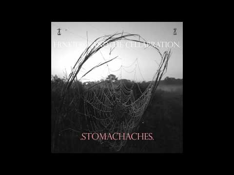 frnkiero andthe cellabration - she's the prettiest girl at the party and she... [audio stream]