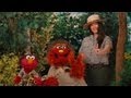 Sesame Street Grand Canyon Habitats