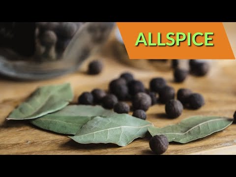 What Is Allspice Used For?