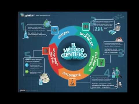 Protocolo de Investigación: Definición, Objetivo y Función