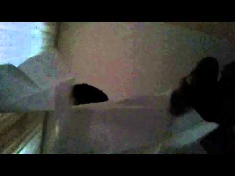 Das zauber Taschentuch!!