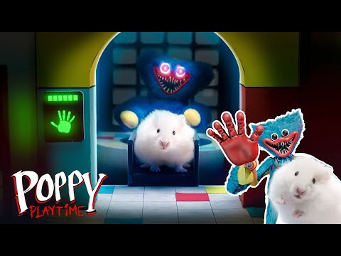 Hamster Escape From Huggy Wuggy - Poppy Playtime Chapter 2
