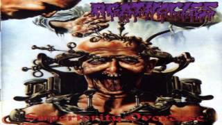 Agathocles Autonomy Melts Subtitulada HD